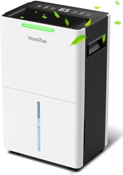 Dehumidifiers for Home Damp