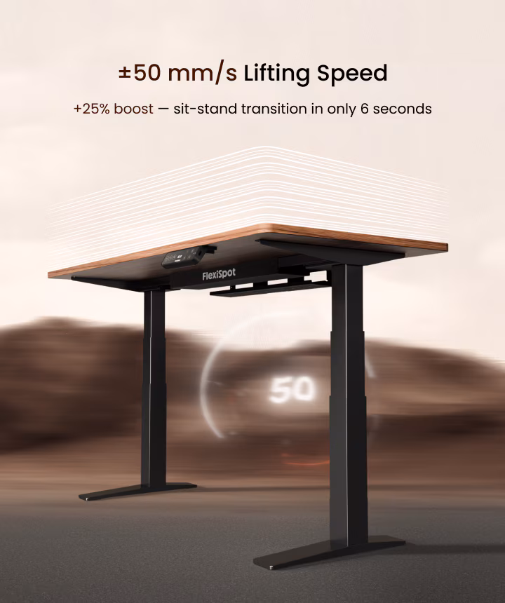 Flexispot E7 Pro